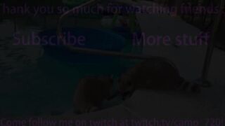 TWITCH FUNNY MOMENTS