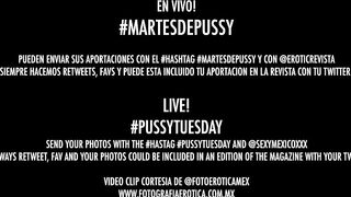 Martes de Pussy or Pussy Tuesday Live