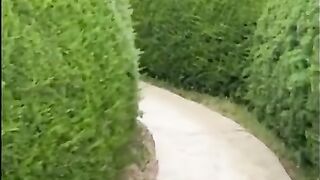 blonde is fucked in a maze