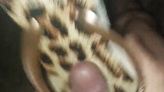 Cum In New Havaianas Animal Print 2023