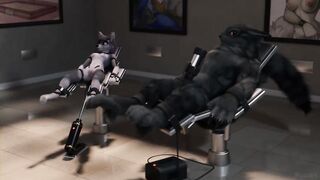 Furry Video P22