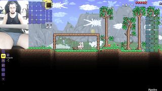 TERRARIA EDICIÓN DESNUDA CÁMARA POLLA GAMEPLAY #1