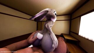 Judy Hopps riding your dick close-up